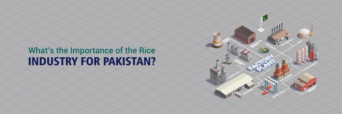 You are currently viewing What is the Importance of the Rice Industry for Pakistan?