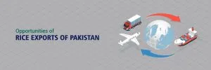 Opportunities-of-Rice-Exports-of-Pakistan-Alkaram-rice-engineering-pvt-ltd