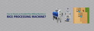 Read more about the article How to Choose an Excellent Rice Milling Machine or Rice Processing Machine?