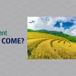 Silent-Rice-Revolution-Come-Alkaram-Rice-Engineering-Company-Ltd