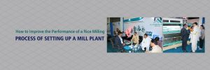 Read more about the article The Complete Guide to Process of Setting up a Mill Plant