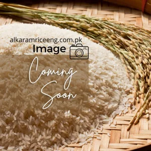 Rice Parboiling Plant